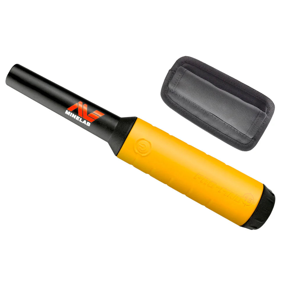 Metal Detector Rental 2 Day