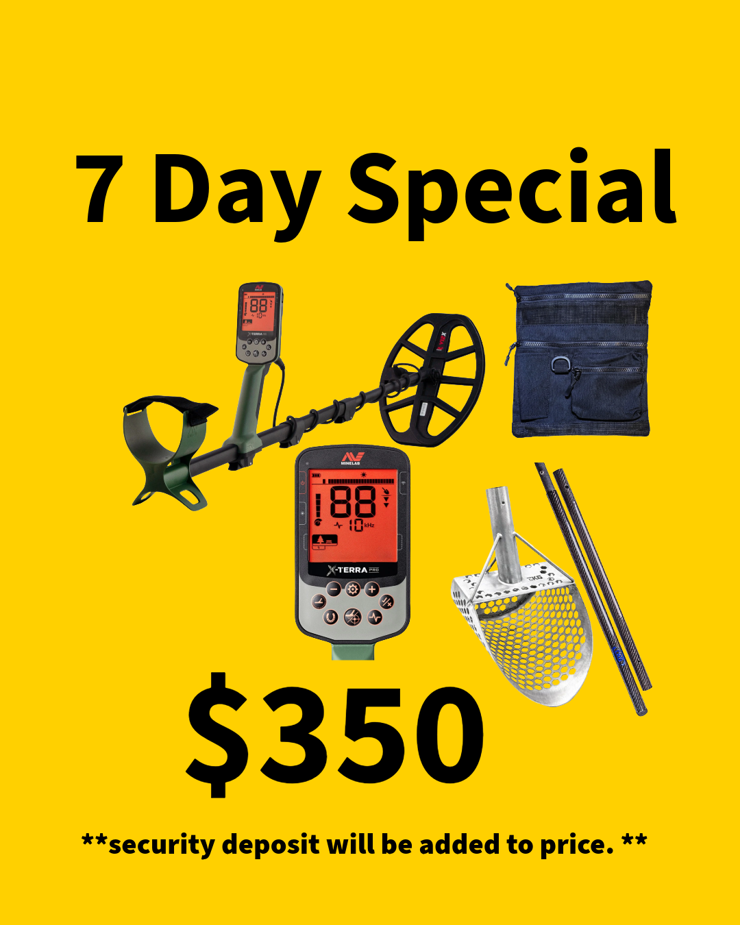 Metal Detector Rental 7 Day