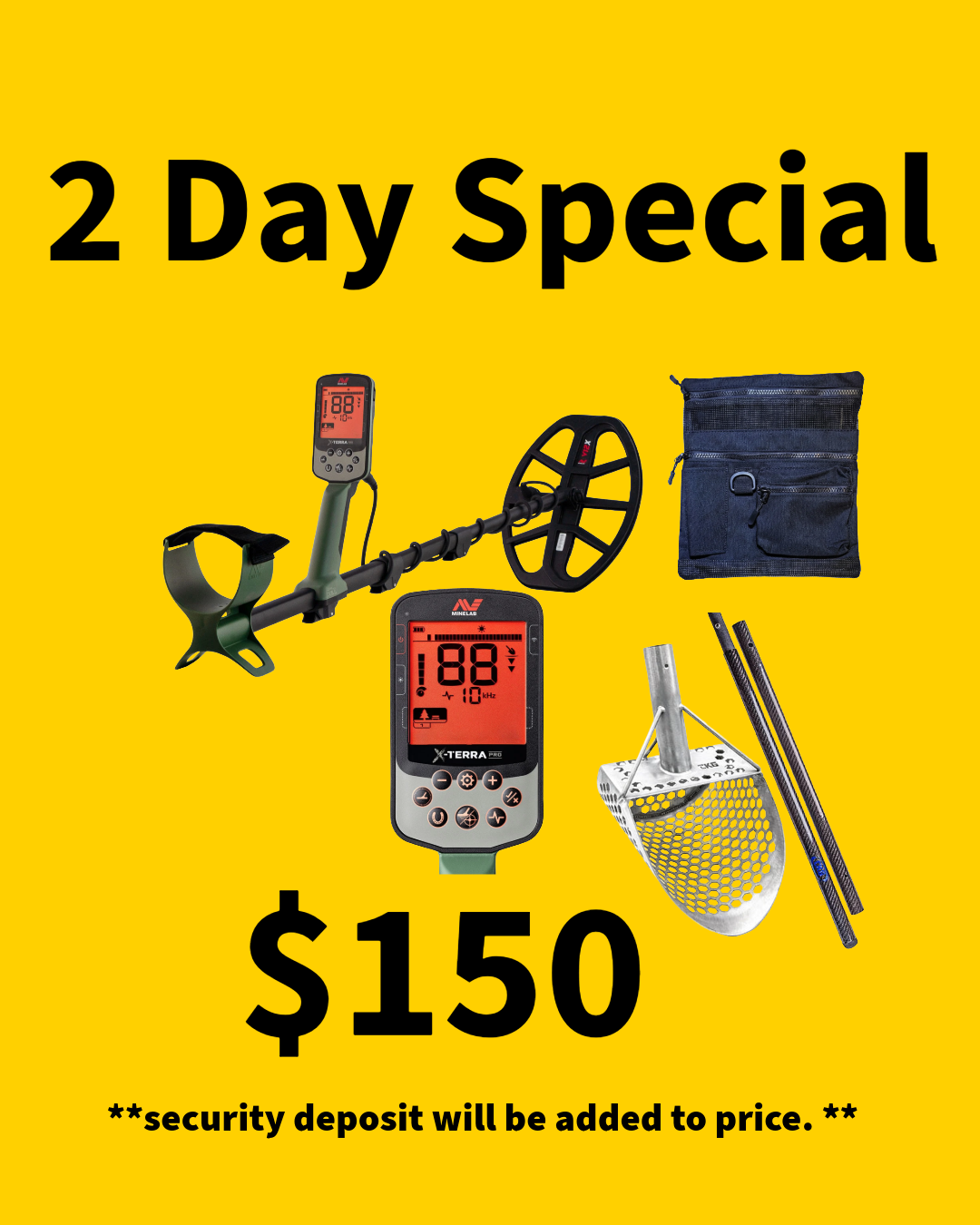 Metal Detector Rental 2 Day
