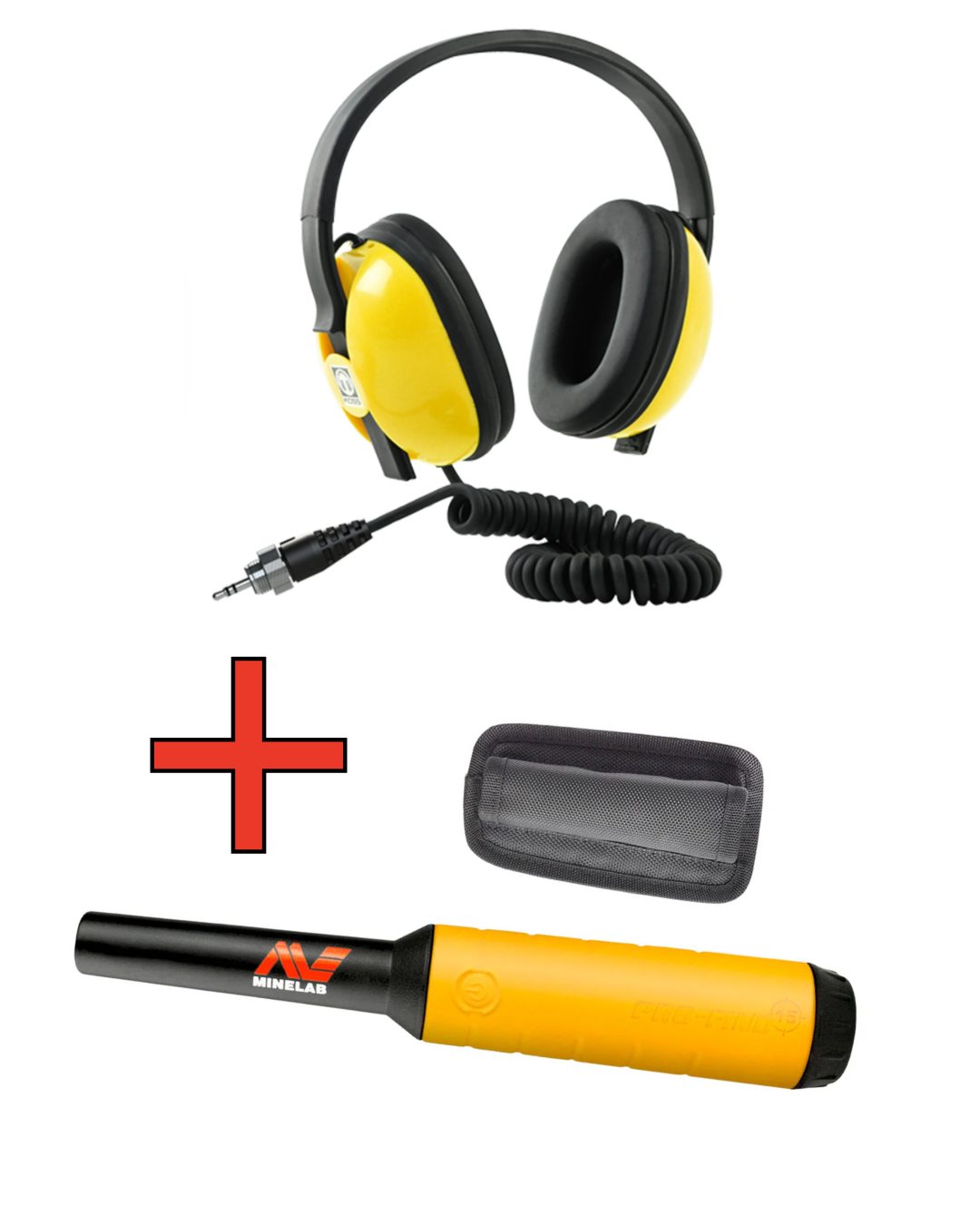 Metal Detector Rental 2 Day